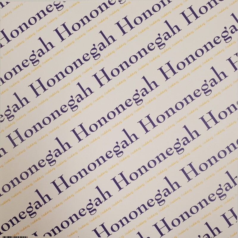 Hononegah Scrapbook Paper, Diagonal Pride, Purple &amp; Gold