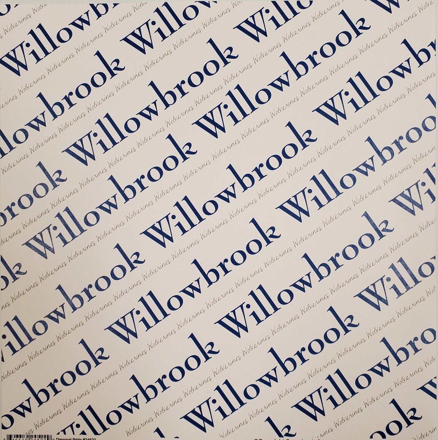 Willowbrook, Scrapbook Paper, Diagonal Pride, Blue & Grey