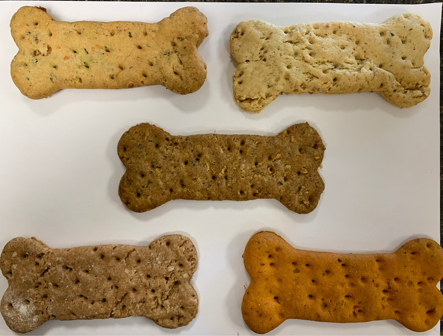 Donation Treats To Canine Partners For Life! They Get Two!