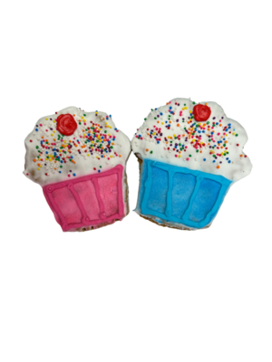 Cupcake  / Ice Cream Cone Iced Treat