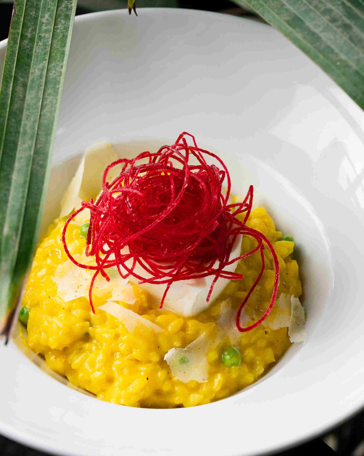​Risotto de Auyama y Burrata