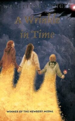 SEVENTH GRADE - A WRINKLE IN TIME - SFISH - ISBN 9780312367558