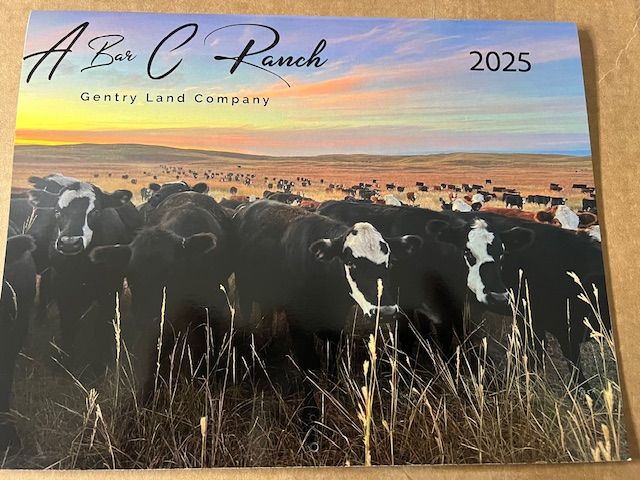 2025 Calendar