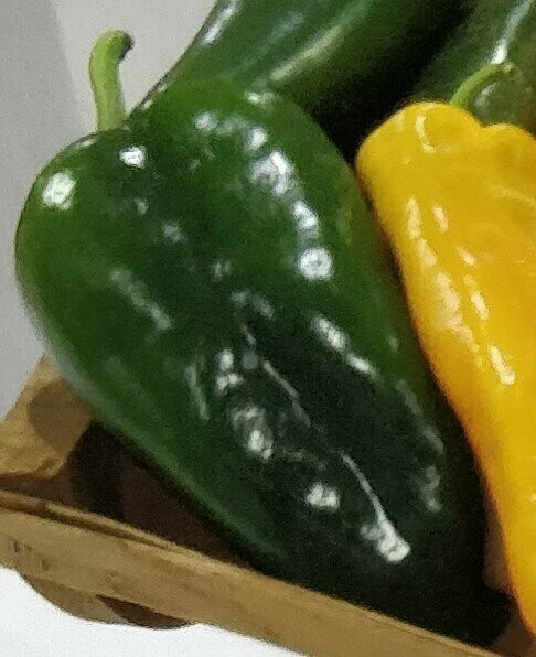 Poblano - 4 inch pot