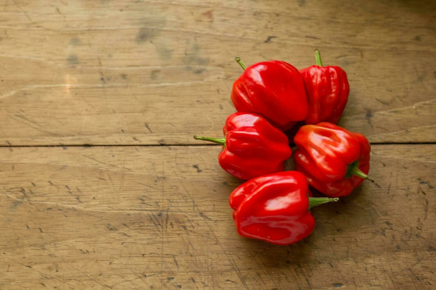 Scotch Bonnet - 4 inch pot