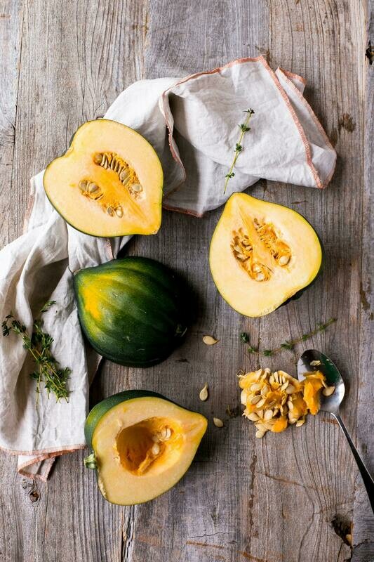 Acorn Squash - 4 inch pot