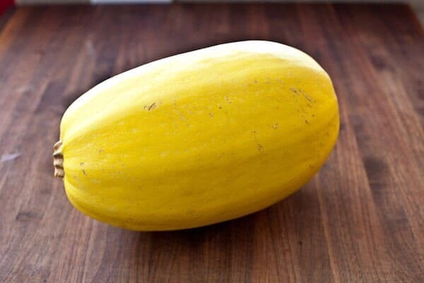 Spaghetti Squash - 4 inch pot