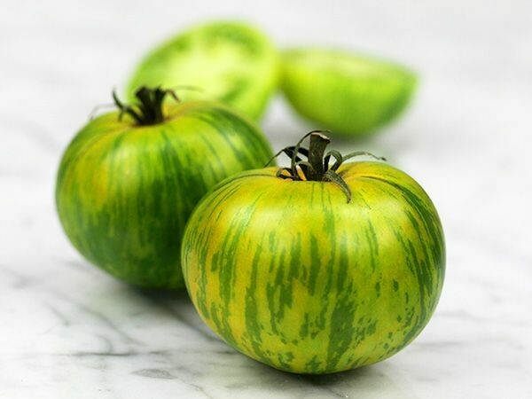 Green Zebra - 4 inch pot