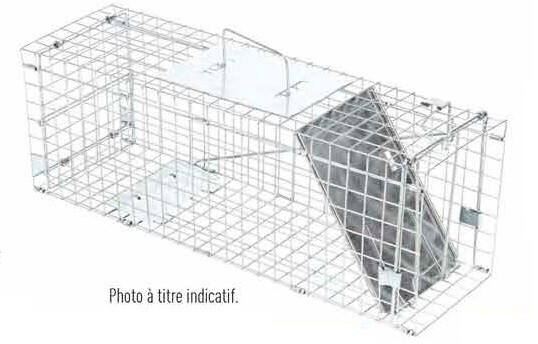 PRONATURE CAGE À CAPTURE &#39;GRANDE&#39; (10X12X32)