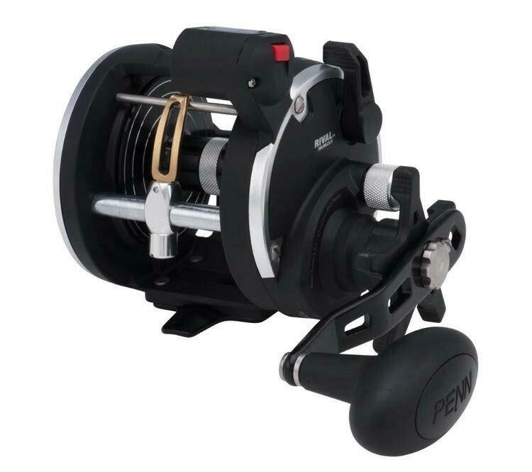 PENN RIVAL 30 LW LC MOULINET (RVL30LWLC)