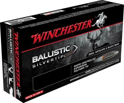 WINCHESTER BALISTIC SILVERTIP 300 WIN. MAG 180GR.(20)