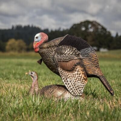 DAVE SMITH DECOYS TURKEY MATING HEN & MATING MOTION JAKE COMBO