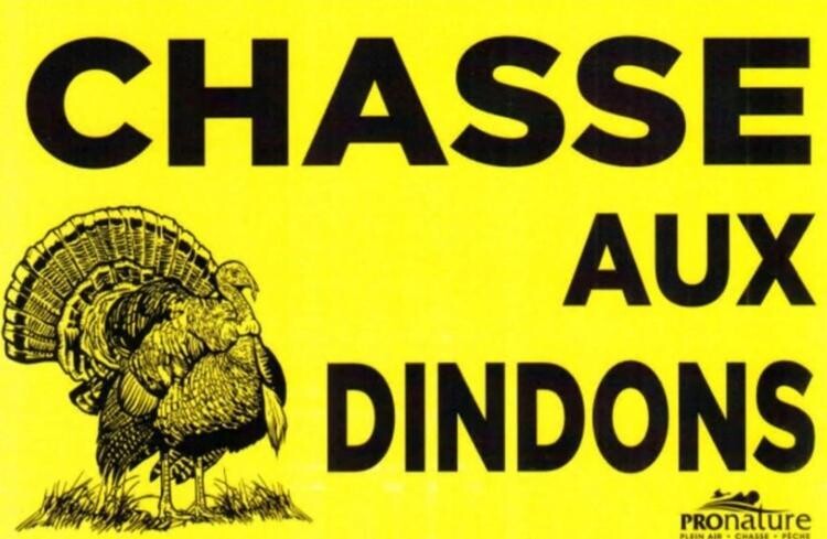 PANCARTE &#39;&#39;CHASSEUR DE DINDON &#39;&#39;  JAUNE