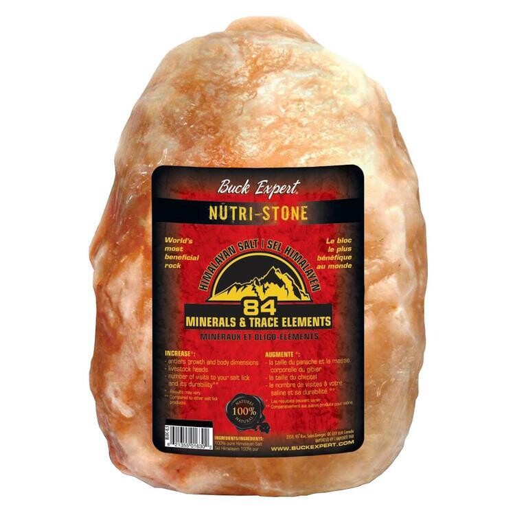 BUCK EXPERT  SEL HIMALAYEN ROSE ROCHE FOND PLAT (5-7KG)