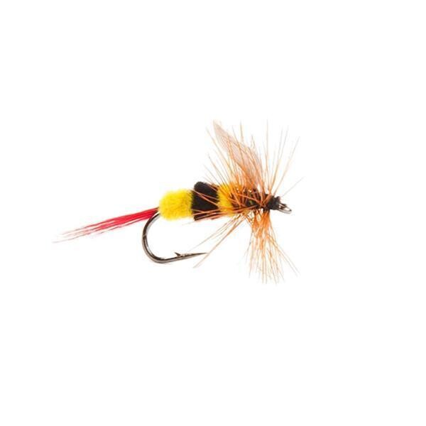 MOUCHE NEPTUNE SECHE BEE H10