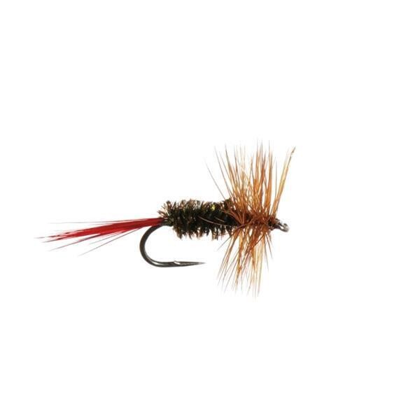 MOUCHE NEPTUNE SECHE BROWN HACKLE H14