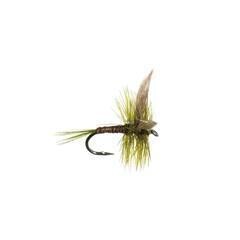 MOUCHE NEPTUNE SECHE OLIVE QUILL EXTENDED BODY MAYFLY #10