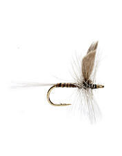 MOUCHE NEPTUNE SECHE QUILL GORDON H10