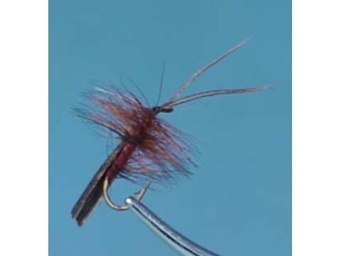 MOUCHE NEPTUNE DARK BROWN TENT CADDIS H14