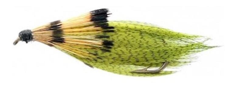 MOUCHE NEPTUNE FISET STREAMER H8