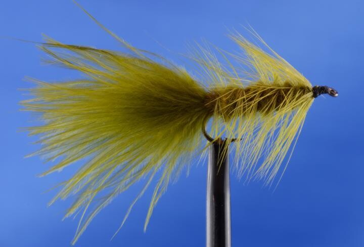MOUCHE NEPTUNE OLIVE WOLLY BUGGER H4