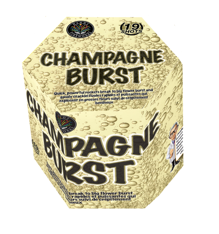 FIREWORKS FEUX D&#39;ARTIFICES CHAMPAGNE BURST