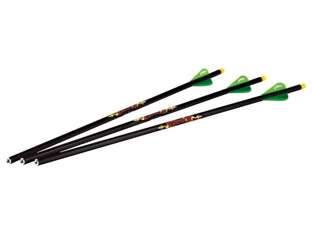 EXCALIBUR FLÈCHES DIABLO ILLUMINATED 18&#39;&#39; CARBON AR.