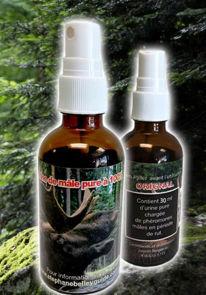 STEPHANE BELLEY URINE BUCK MATURE 30ML