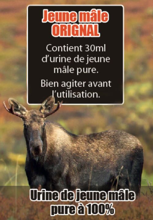 STEPHANE BELLEY URINE JEUNE MALE 30ML
