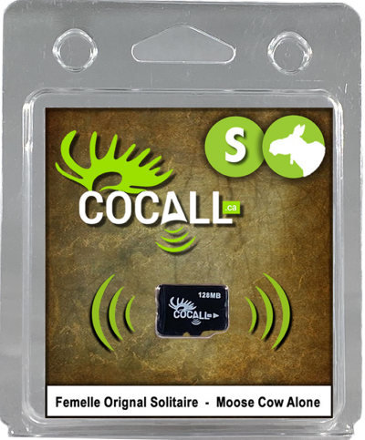 COCALL CARTE DE SON FEMELLE ORIGNAL SOLITAIRE