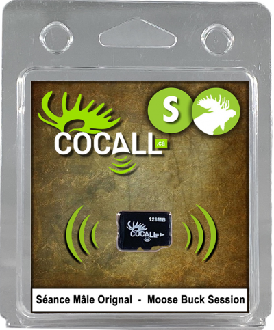 COCALL CARTE DE SON DE  ORIGNAL SEANCE MÂLE