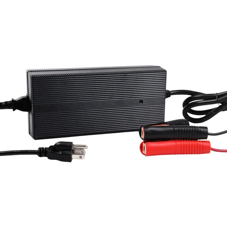 SILVER VOLT CHARGEUR INTELLIGENT  POUR BATTERIE &#39;&#39;LiFeP04&#39;&#39; - 15A
