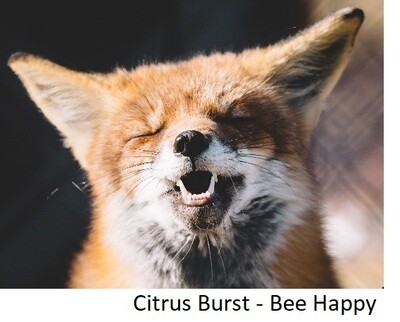 Positive Atmosphere Blends