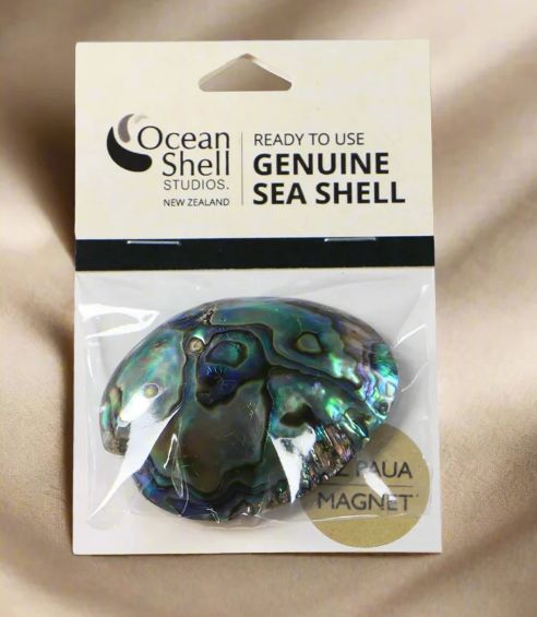 Ocean Shells Magnets