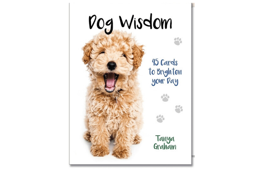 Oracle Cards - Dog Wisdom
