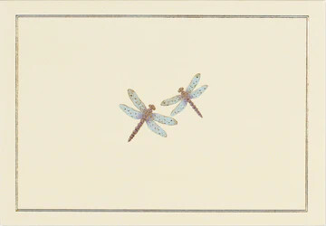 Blue Dragonflies Note Cards