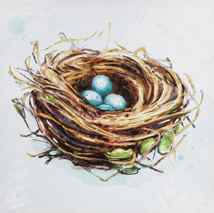 FINAL SALE Bird Nest Outdoor Canvas