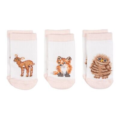 Little Forest Baby Socks Set - 0-6 Months