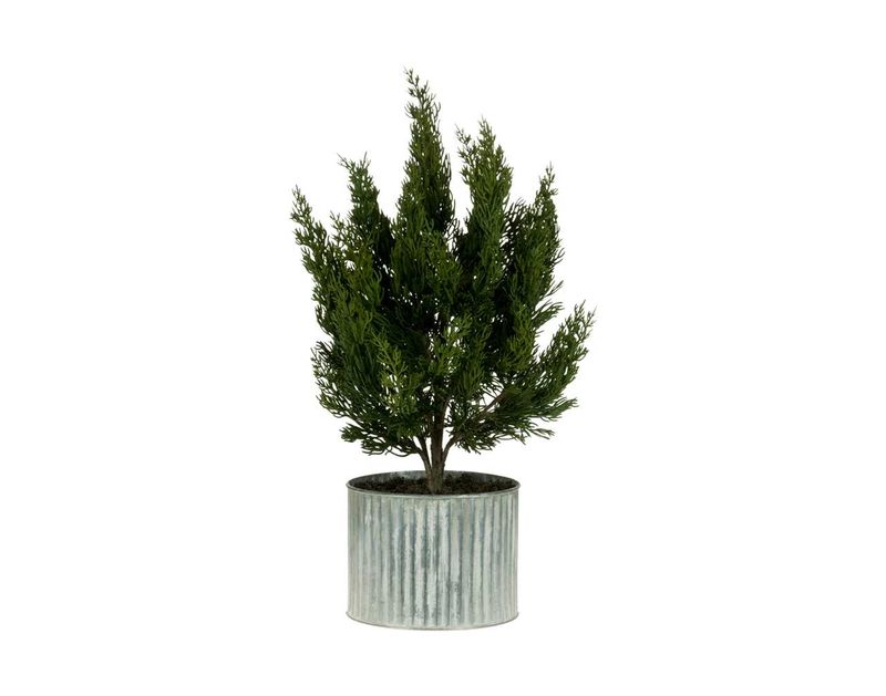 FINAL SALE Spruce Tree In Metal Pot