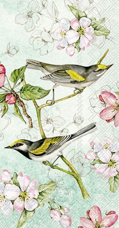 Guest - Birds Symphony Green