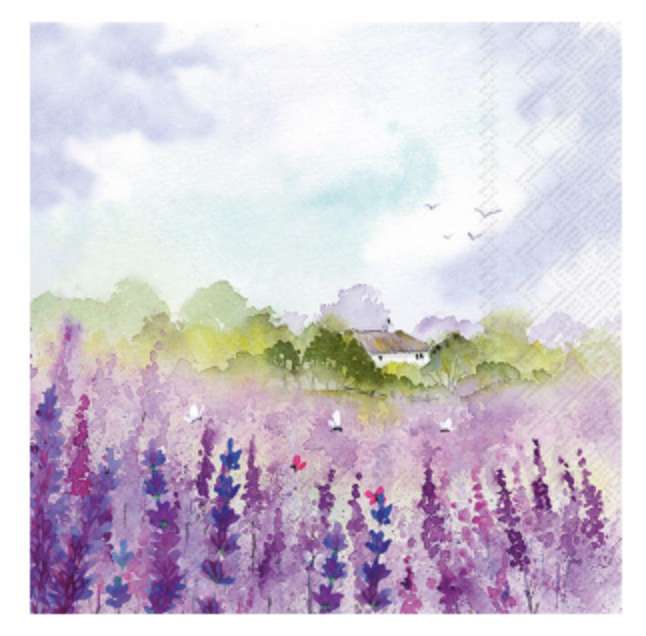 Lunch - Lavender Field