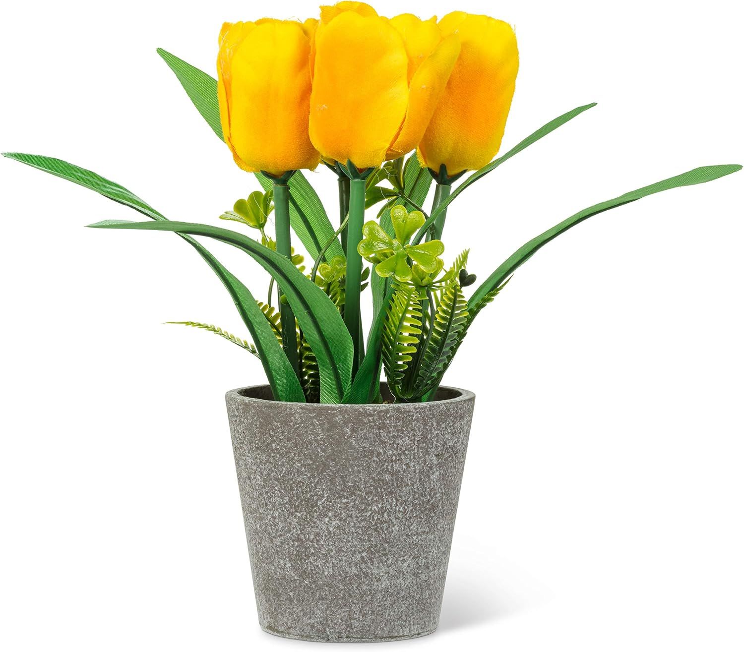 Yellow Tulips in Pot