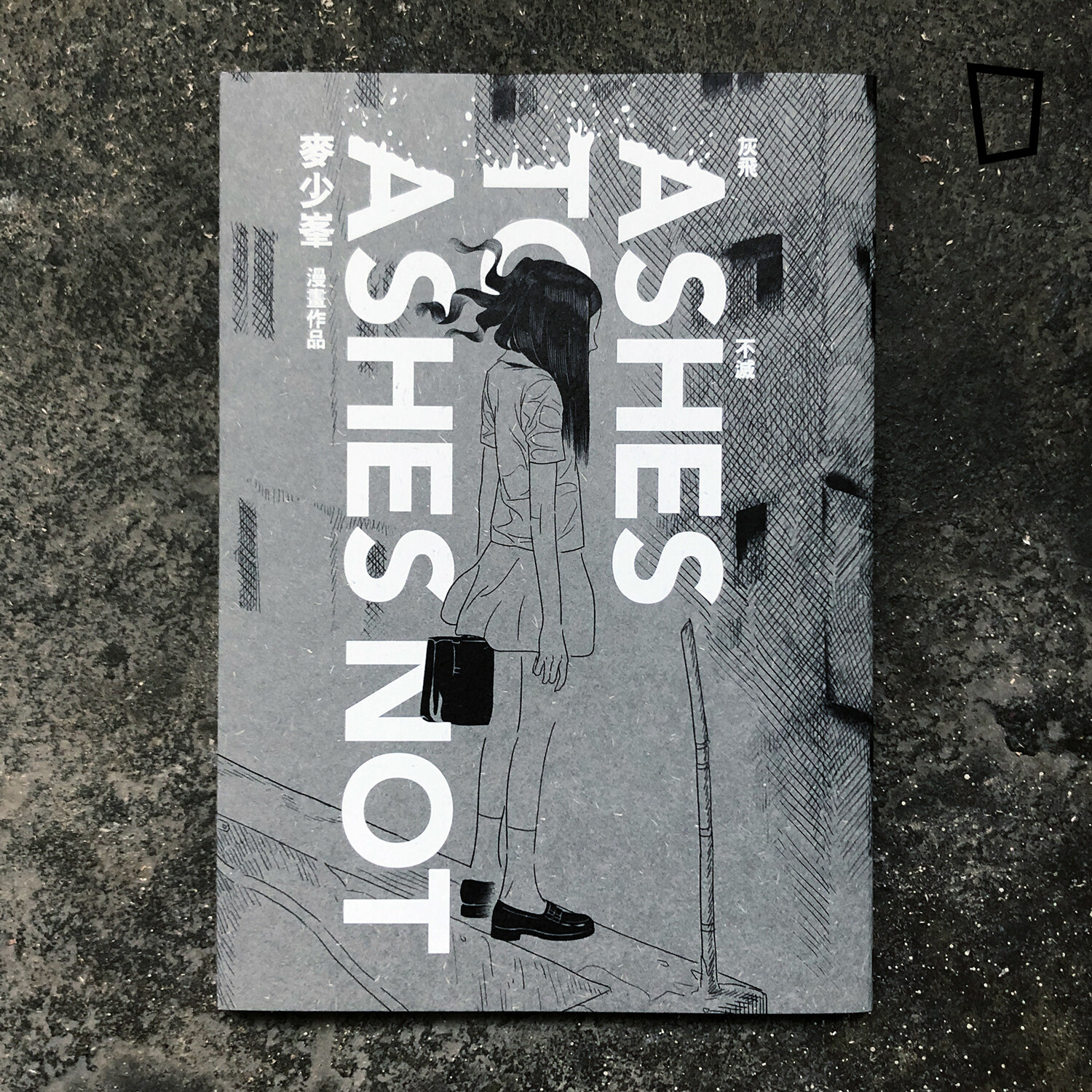 麥少峯《灰飛不滅》