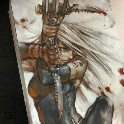 馮展鵬 FCP《密殺戰群》