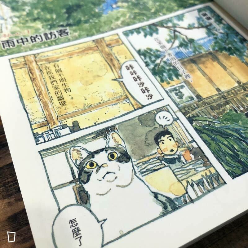 五十嵐大介《南瓜與我的野放生活》