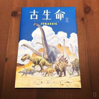 李健良《古生命》II