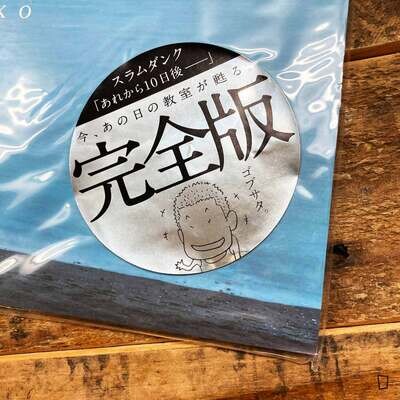 井上雄彥《Slam Dunk – 10 Days After》日本畫集