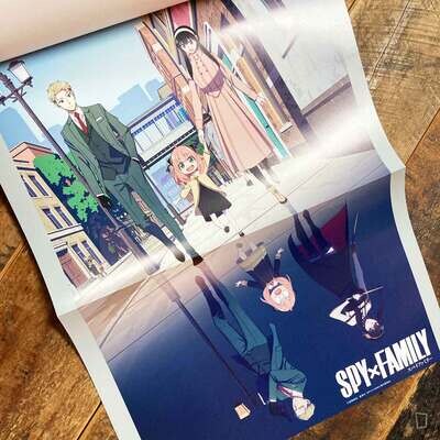 TV 動畫《SPY x FAMILY》ANIMATION×1st MISSION（公式 Start Guide）