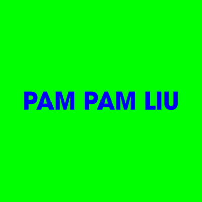 PAM PAM LIU