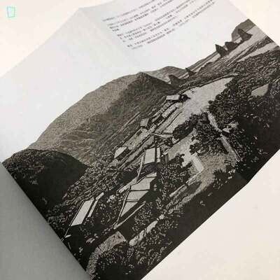 游珮芸、周見信《來自清水的孩子 2:綠島十年》